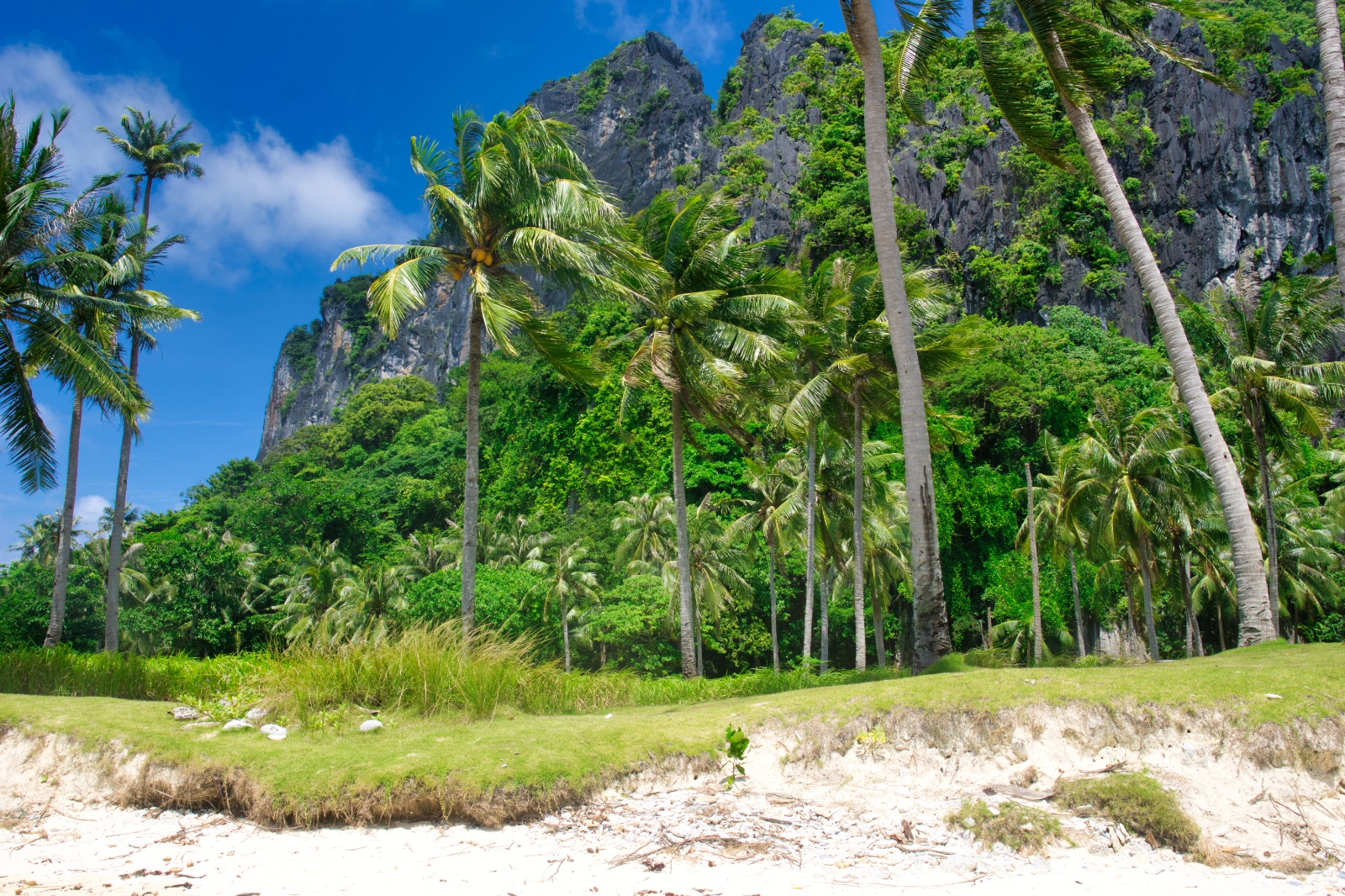 El Nido Coron12